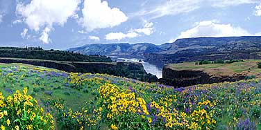Columbia Gorge in an alternative panorama format