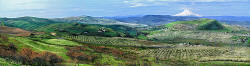 Scenic panorama - Mt Hood and Cherry Orchards - The Dalles Oregon