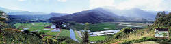 Scenic Hawaii panorama - Taro fields in Kauai