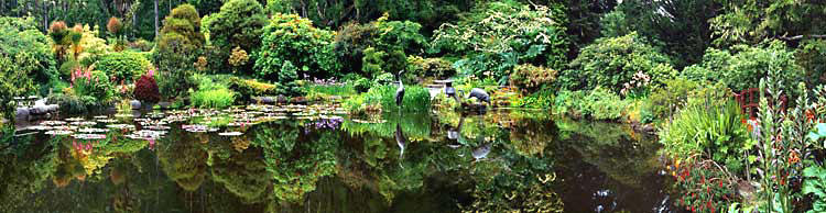 Shore Acres State Park picture; Garden panorama near Coos Bay,Oregon; Pacific Ocean;Water Garden Reflection
