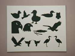 duck,owl,eagle,feather,hummingbird,egret