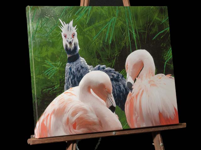 Crested Screamer Bird protects Chilean Flamingos, painting sold on canvas