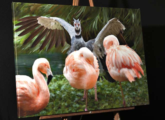 Chilean Flamingo Painting;Crested Screamer in full wing span protecting Chilean Flamingos