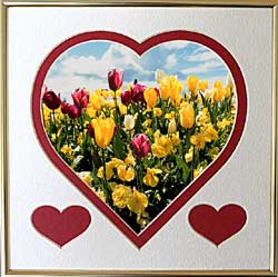 Tulip Flower Valentine gift
