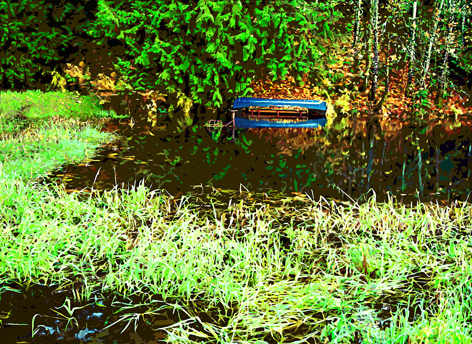 Buy this Northwest nature park picture - canoe boat on pond with reeds