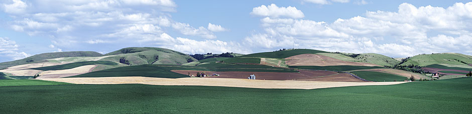 Rolling hills of Athena photograph; an Oregon farm panorama taken near Weston, NE of Pendleton; Oregon Palouse picture peas wheat