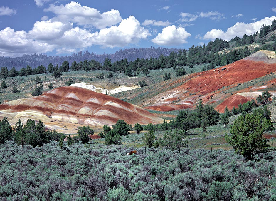 painted hills in Grant County - Long Creek to Monument
