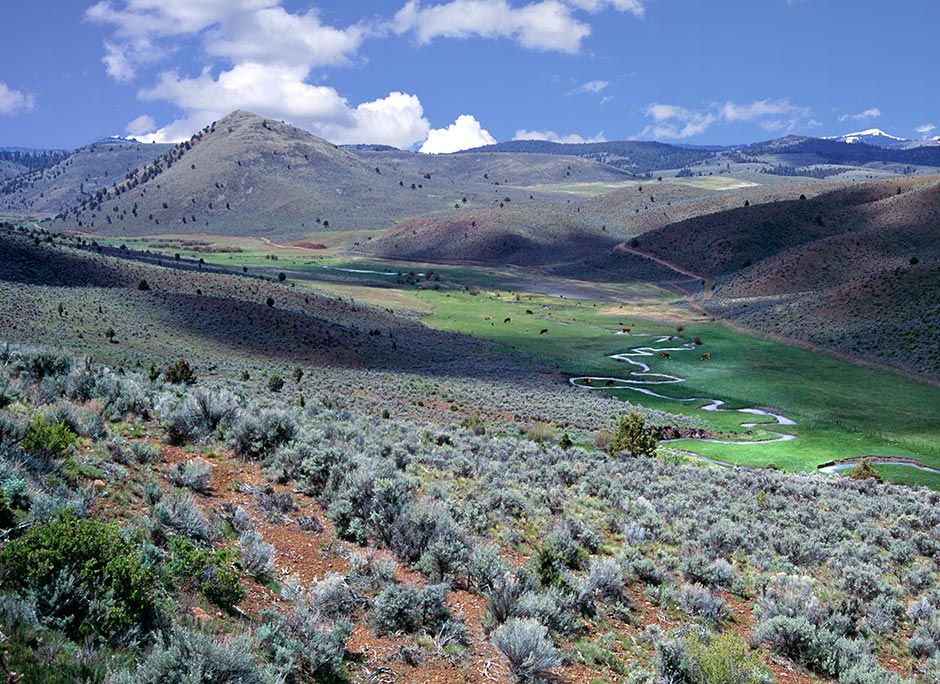 Grant County - Izee - South Fork of the John Day River