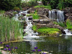 Eammon Hughes Water Garden in Silverton's Oregon Garden