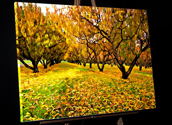 Oregon autumn painting of a Roseburg Peach Orchard for sale as canvas, framed print or file