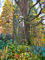 A Mossy Tree Painting in the Van Duzer Corridor in Oregon