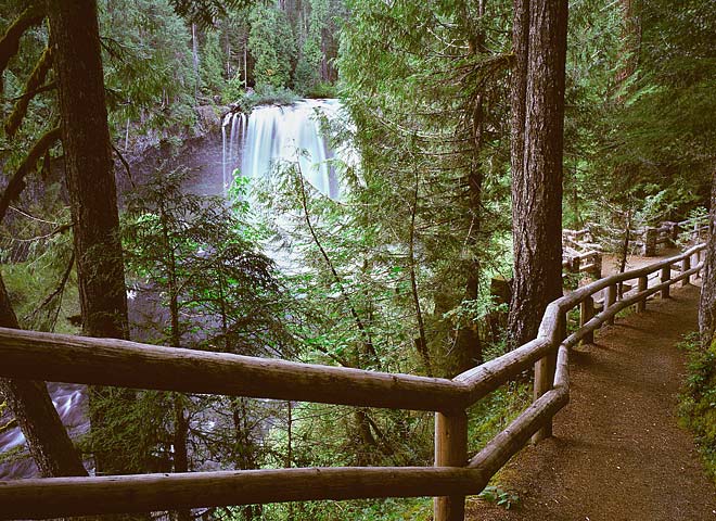 Oregon Cascades pictures - Koosah Falls on the McKenzie River