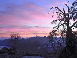 Mt Hood with a Morning Sky