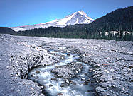 Mt Hood at White River Crossing