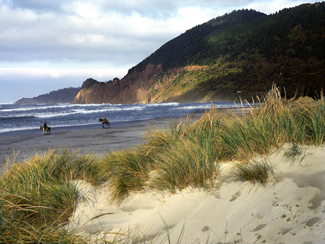 Oregon Coast photo, horses, beach, Manzanita Dunes,sand dunes