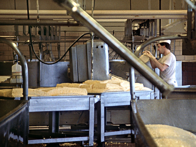 Oregon Coast Photos - Tillamook Cheese Factory 1989