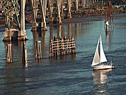 Sailboat by Yaquina Bridge in Newport, Oregon