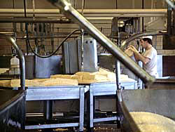 Tillamook Cheese Factory 1989