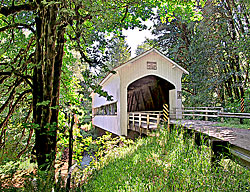 1271 Deadwood Covered Bridge over Deadwood Creek 44°08'36.9"N 123°43'13.9"W