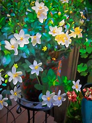 Gardenia painting on a Deck