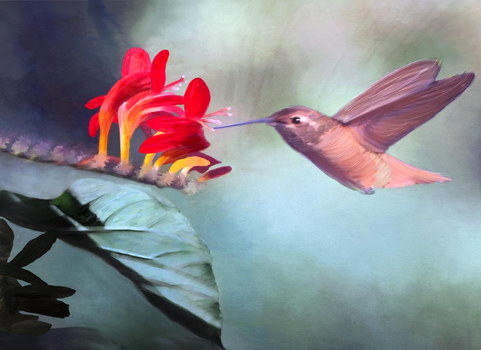 Hummingbird feeding on a Crocosmia Painting