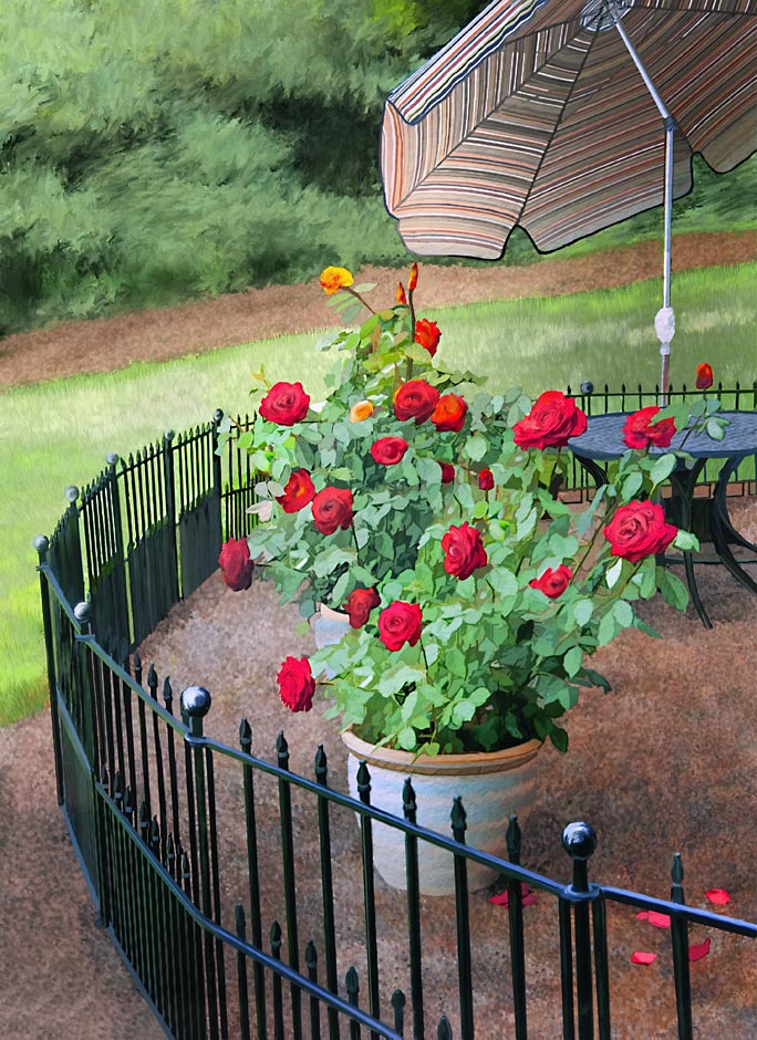 Spa Patio Fence, Red Roses and umbrella in table