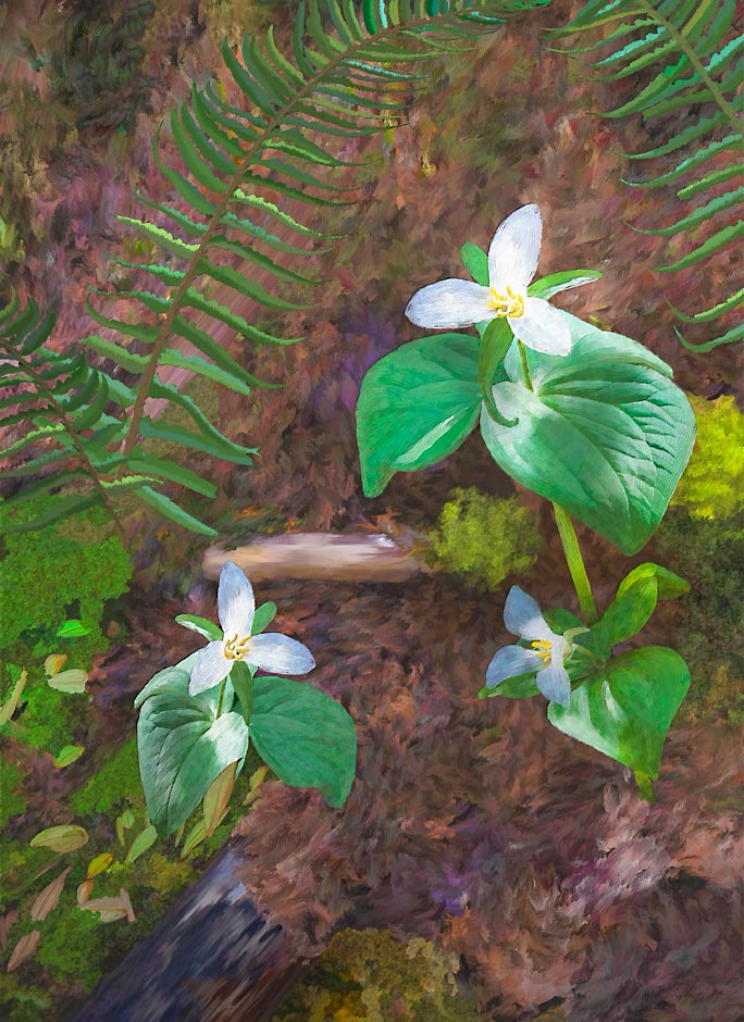 A Trio of White Trillium blossoms with fern and moss painting