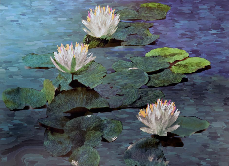 Painting of three white water lily blossoms