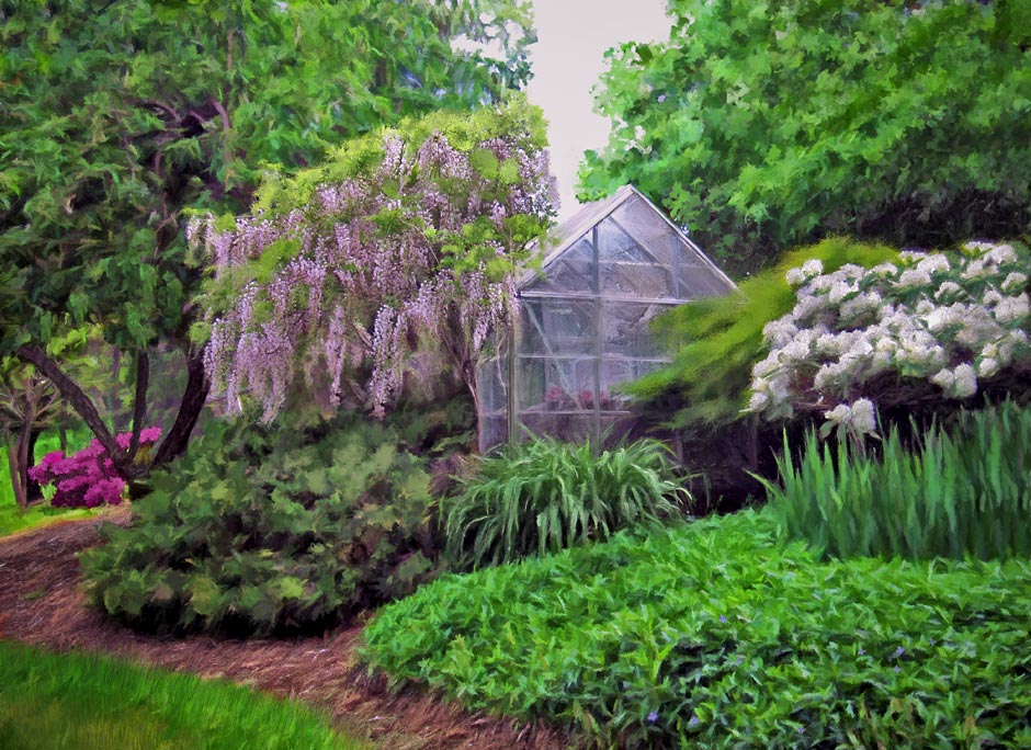 Wisteria in Bloom over the Greenhouse with white rhody Painting