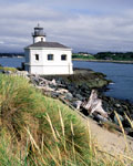 Dune Grass at Bandon Lighthouse on the Coquille River