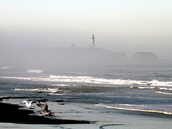 Sea Gulls by foggy Yaquina Head Light, 93 foot tower; 1873
