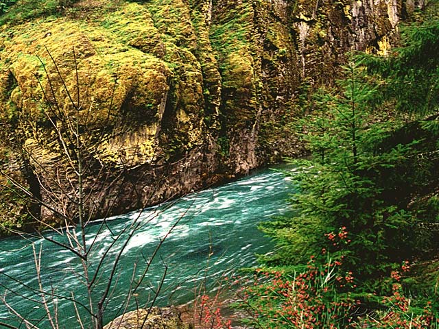 Oregon river pictures - Umpqua River photos sold framed or on canvas