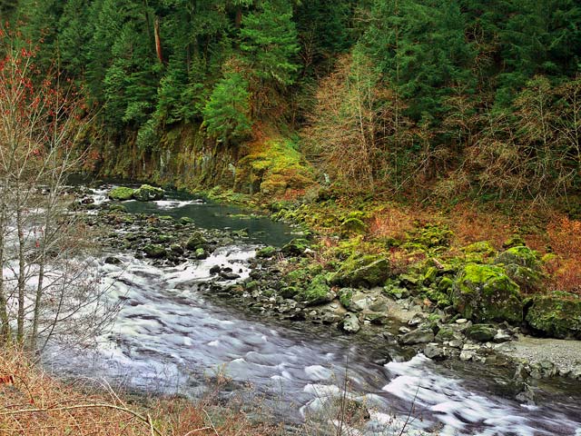 Oregon river pictures - Umpqua River photos - the Wild Umpqua River; Douglas County