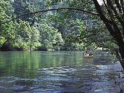 Man, Woman and Dog float the McKenzie River