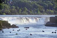 Willamette Falls during Fishing Season