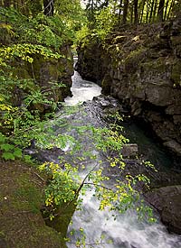 Rogue River Gorge - made from collapsed lava tubes