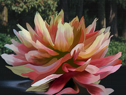 Painterly image of Painted Dahlia, Oregon