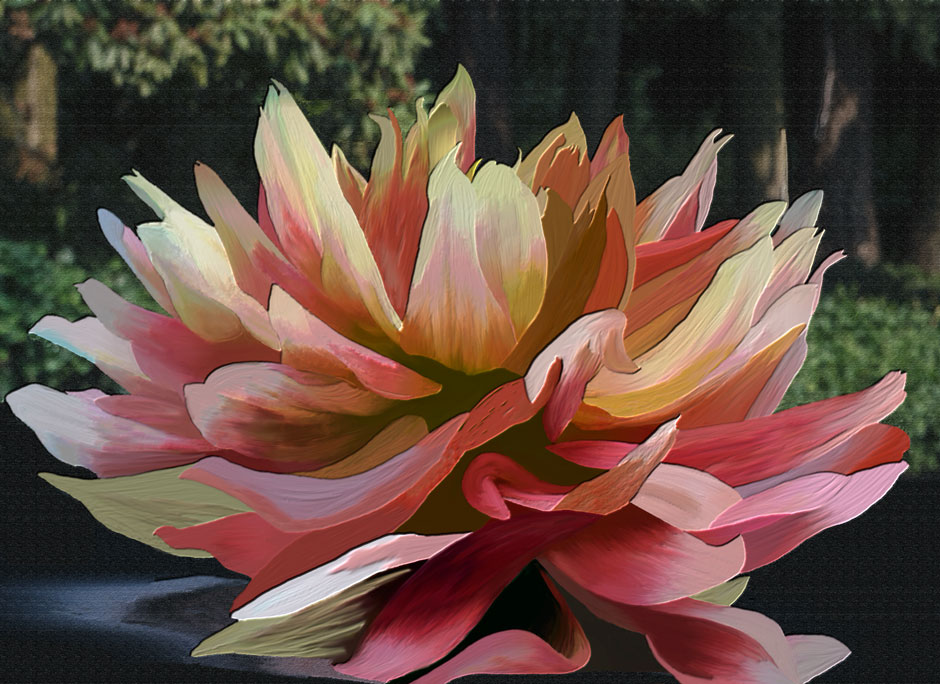 Buy this Painterly image of multicolor Painted Dahlia, Oregon