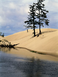 Dunes at the Spinreel Campground along Tenmile Creek in Coos County