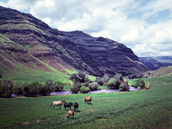 Imnaha Horse Ranch on the Imnaha River