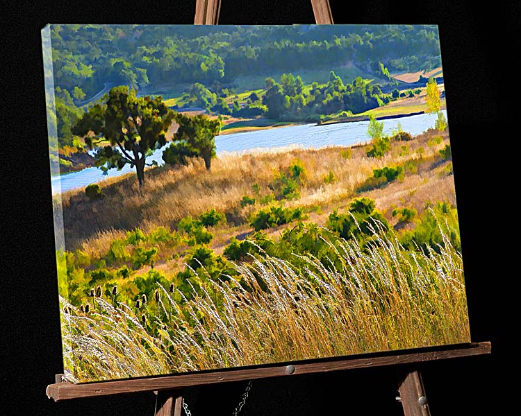Painting;Emigrant Lake Grasses; Siskiyous-Ashland Oregon, Emigrant Lake Recreation Area