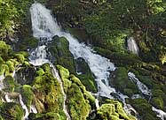 Clearwater Falls Umpqua National Forest