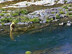 Fisherwoman removing fish from Umpqua River