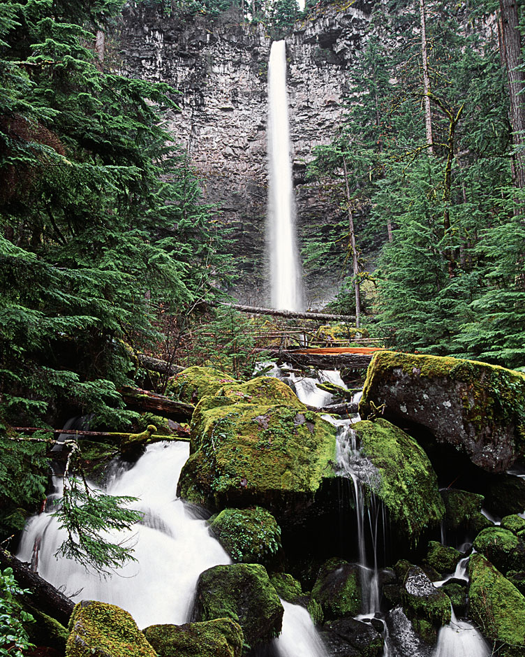 Buy this Watson Falls - Umpqua National Forest picture