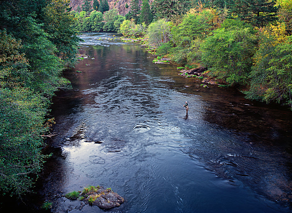 Buy this North Umpqua River and Fisherman picture
