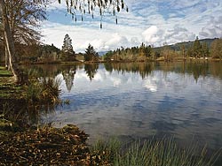 Herbert's Pond-Douglas County Park