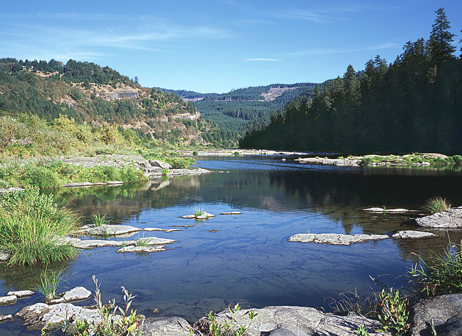 Buy this Umpqua River from Tyee Road picture