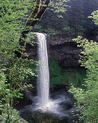 Silvercreek Falls in Silver Falls State Park; Willamette Valley waterfall Photo for  sale