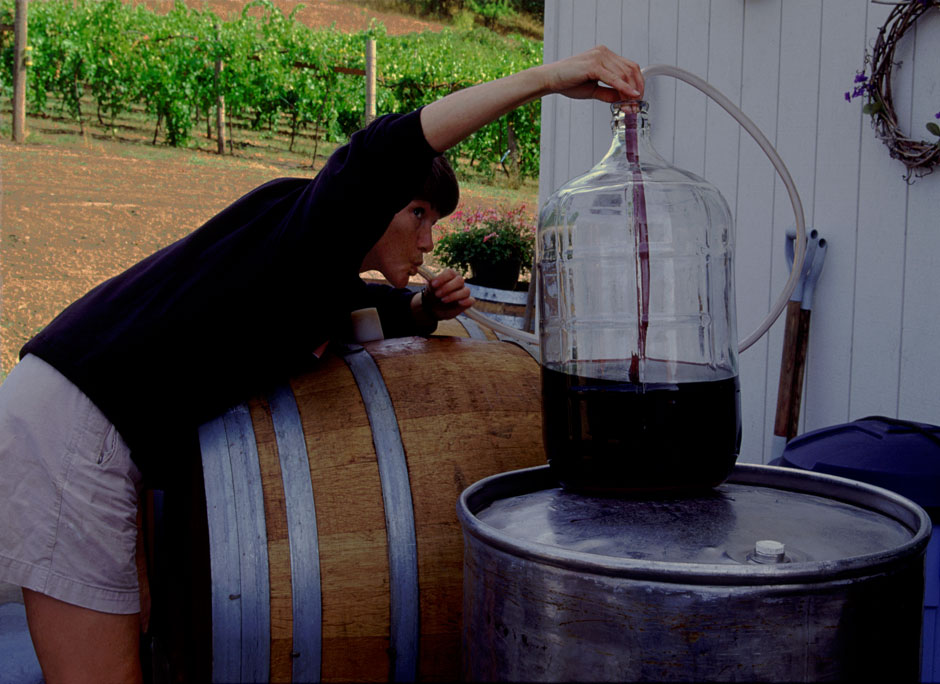 Buy this Autumn Wind winery, woman oak kegs, Oregon Vineyard picture