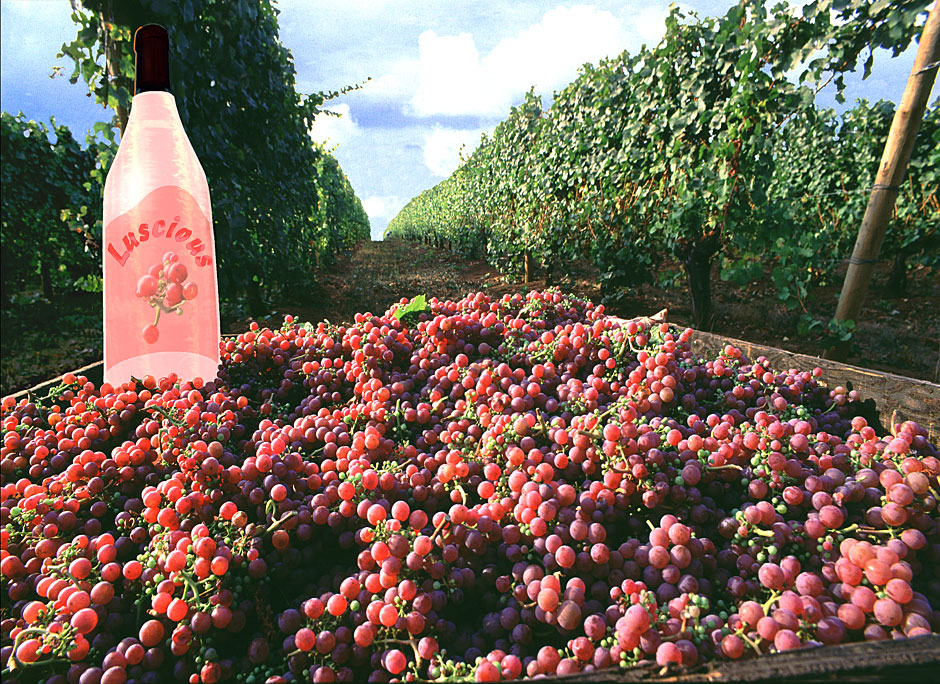 Buy this Computer Graphic 3D bottle in tote red vineyard grapes picture